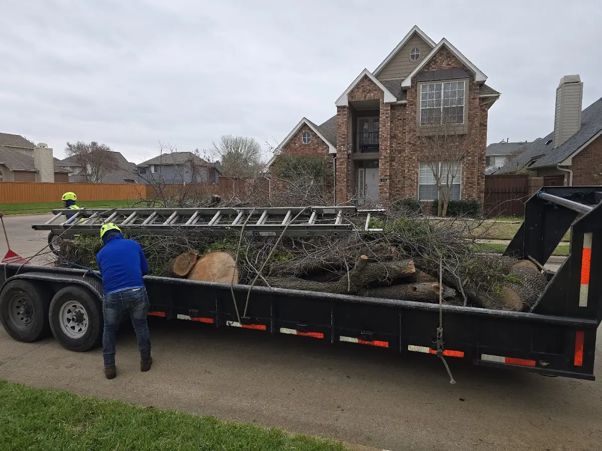 Expert Tree Fertilization with proper safety equipment in Hickory Corners